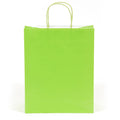 Bolsa de regalo grande de color verde lima (Color Savvy)