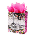 Icoloris Grande (Large) Meet Me In Paris Printed On Iridescent Paper Gift Bag, 1 Design