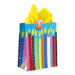 3Pk Large Birthday Boxes Print Bag, 4 Designs