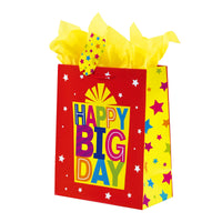 Large Birthday Cake Surprise Printed Bag, 4 Designs