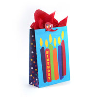 Extra Large Birthday Surprise Me Printed Bag, 4 Designs