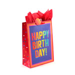 Extra Large Birthday Surprise Me Printed Bag, 4 Designs