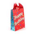 3Pk Large Confetti Fun Birthday Printed Bag, 4 Designs