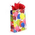 Extra Large Birthday Let'S Party! Printed Bag, 4 Designs