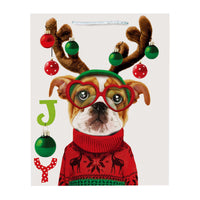 Large Furry Christmas Pals Matte Gift Bag In Pdq, 4 Designs