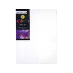4PC CANVAS PANEL SET, 12" X 16", 2 ASSORTMENTS (2/10)