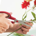 4Pk Scissors, 2 Assortments