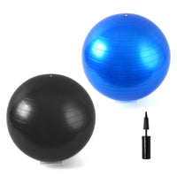 Flofit 65Cm Fitness Ball With Pump, 2 Colors