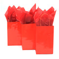 Euro Medium Red Gift Bag