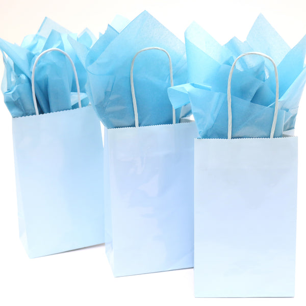 Narrow Medium Pastel Blue Gift Bag