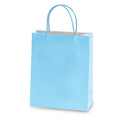Euro Medium Pastel Blue Gift Bag