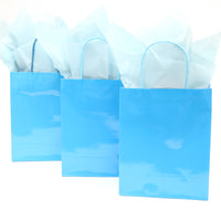 Euro Medium Aqua Bag