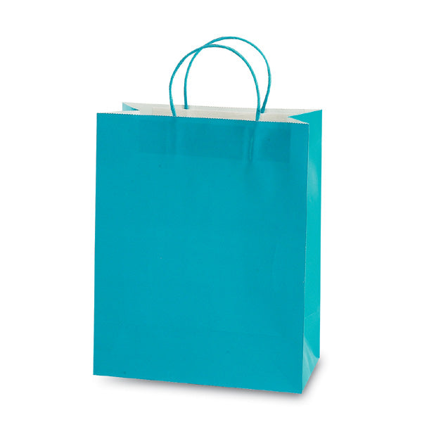 Euro Medium Aqua Bag