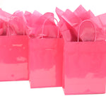 Euro Medium Hot Pink Bag