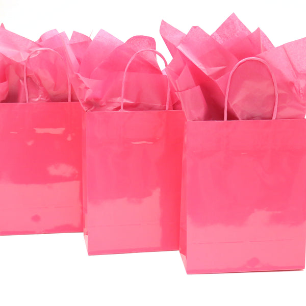 Euro Medium Hot Pink Bag