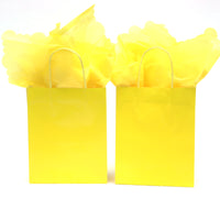 Euro Medium Yellow Gift Bag (Color Savvy)