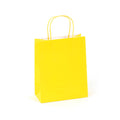 Large Yellow Gift Bag (Color Savvy)