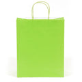 Large Lime Green Gift Bag (Color Savvy)