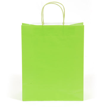 Large Lime Green Gift Bag (Color Savvy)
