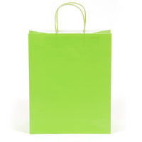Euro Medium Lime Green Gift Bag (Color Savvy)