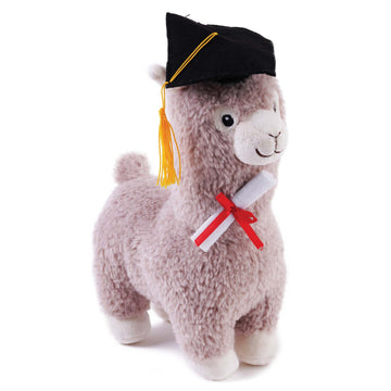 12" Graduation Llama, 2 Assortments
