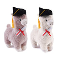 12" Graduation Llama, 2 Assortments