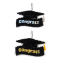 Graduation Tinsel Hat With Hologram 'Congrats' And Tassel 12.5"H X 13.75"W, 2 Designs