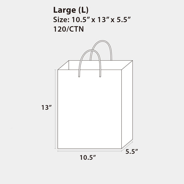 4Pk Large Solid Color White Kraft Bag