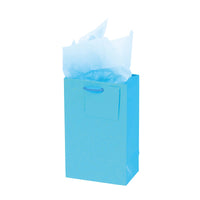Narrow Medium "Glowing" Glitter Glossy Bags, 4 Colors