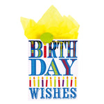 Extra Large Big Birthday Wishes Hot Stamp Bag, 4 Designs