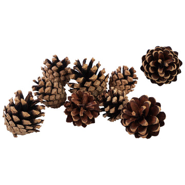 Thanksgiving-9Pc Pine Cone Tabletop Decor Set, 3.5" X 3.5" X 3.5", 2 Styles Assorted