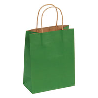 Euro Medium, Solid Color Green Brown Kraft Bag With Brown Paper Twisted Handle