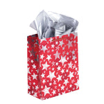 Large Christmas Stars Embossed Kraft Bag, 4 Colors