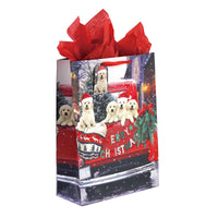 2Pk Extra Large Plaid Pets Christmas Glitter/Hot Stamp Bag, 4 Designs