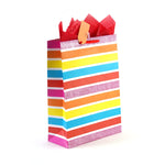 Extra Large Birthday Party Blowout Hot Stamp/Glitter/Uv Bag, 4 Designs