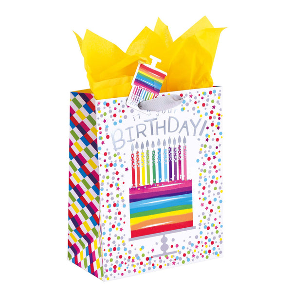 Large Birthday Bonanza Hot Stamp/Glitter Premium Plus Bag, 4 Designs