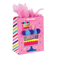 Large Hooray For Birthday Hot Stamp Premium Plus Bag, 4 Designs